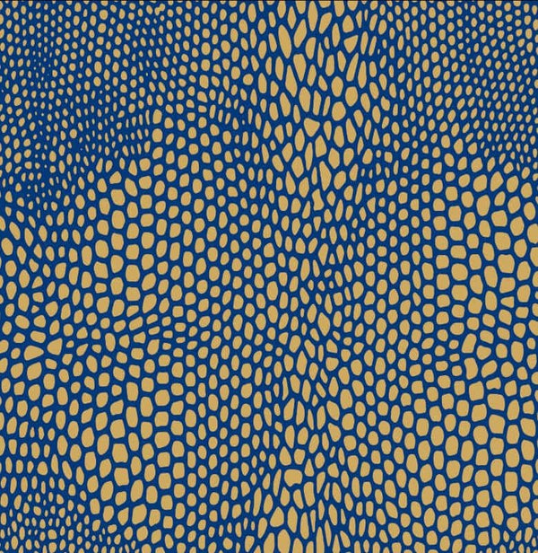 Vesu's - List Of Lizards II Vinyl