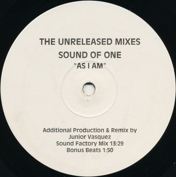 Sound Of One : As I Am (The Unreleased Mixes) (12