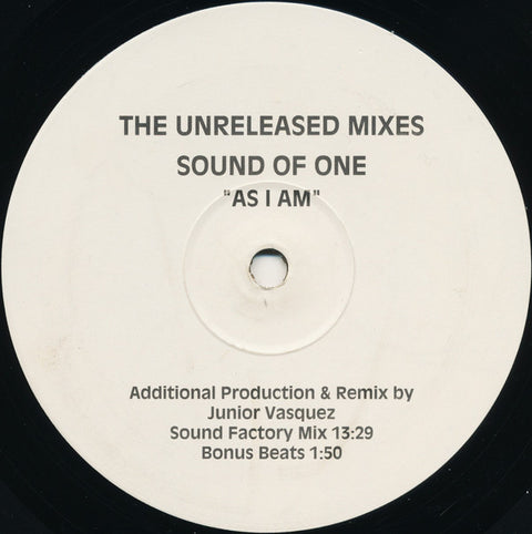 Sound Of One : As I Am (The Unreleased Mixes) (12") - Vinyl Record