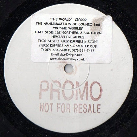 The Amalgamation Of Soundz Featuring Yvonne Webbley : The World (12", Promo) - Vinyl Record