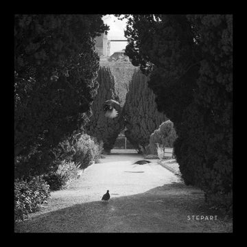 Stepart* : The Curve (12
