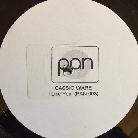 Cassio Ware & Funky People : I Like You (12", TP) - Vinyl Record