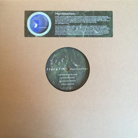 Earthman (4) : Orogenesis (12") - Vinyl Record