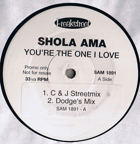 Shola Ama : You're The One I Love (12", Promo)