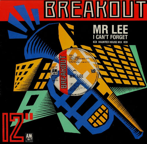 Mr. Lee : I Can't Forget (Haunted House Mix) (12") - Vinyl Record