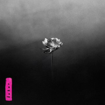 Little Simz - Lotus Vinly Record
