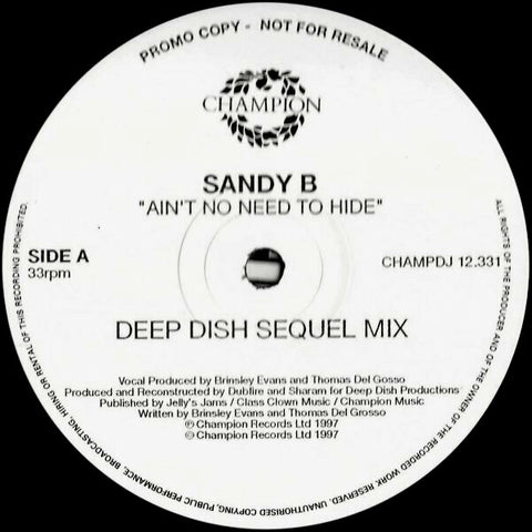 Sandy B : Ain't No Need To Hide (3x12", Promo) - Vinyl Record