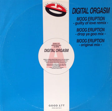 Digital Orgasm : Moog Eruption (12