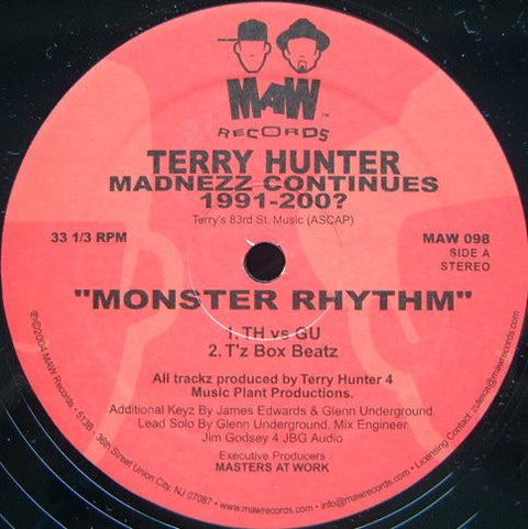 Terry Hunter : Madnezz Continues 1991-200? (12") - Vinyl Record