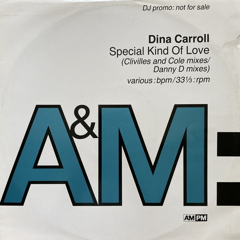 Dina Carroll : Special Kind Of Love (12", Promo) - Vinyl Record