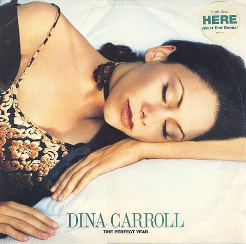 Dina Carroll : The Perfect Year (12", Single) - Vinyl Record