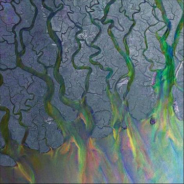 alt-J : An Awesome Wave (CD, Album) Vinly Record