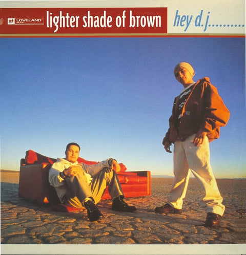 Lighter Shade Of Brown : Hey D.J.... (12") - Vinyl Record