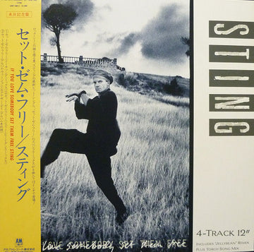 Sting : If You Love Somebody Set Them Free (12