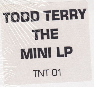 Todd Terry : The Unreleased Project (12