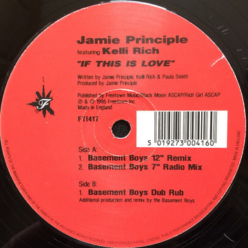 Jamie Principle Featuring Kelli Rich : If This Is Love (12