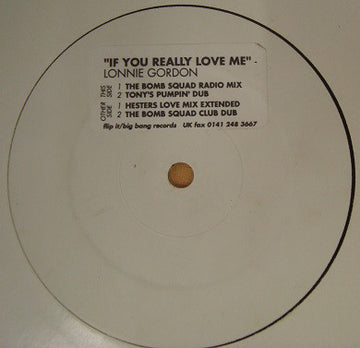 Lonnie Gordon : If You Really Love Me (12