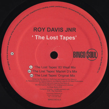 Roy Davis Jnr* : The Lost Tapes (12