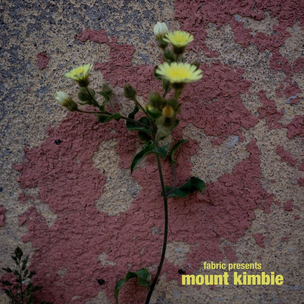 Mount Kimbie - Fabric Presents Mount Kimbie