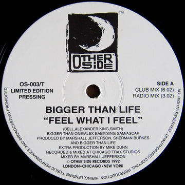 Bigger Than Life : Feel What I Feel / High And Mighty (12