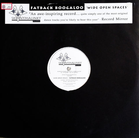 Fatback Boogaloo : Wide Open Spaces (12") - Vinyl Record