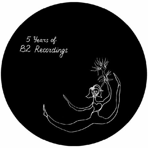 Brawther / Bengoa / Lex / Locke / Zaq - 5 Years Of B2 Recordings - Vinyl Record