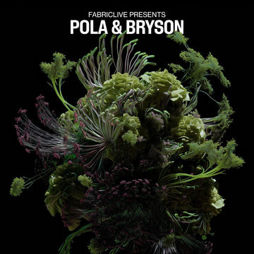 Pola & Bryson - FABRICLIVE presents Pola & Bryson Vinly Record