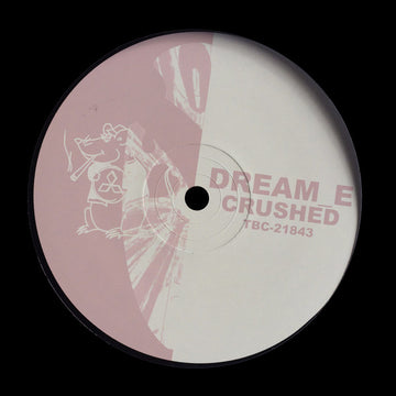 Dream_E - Crushed Vinly Record