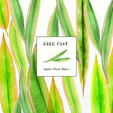 Greg Foat - Spider Plant Blues - Artists Greg Foat Style Jazz Release Date 24 May 2024 Cat No. AM1566040 Format 7