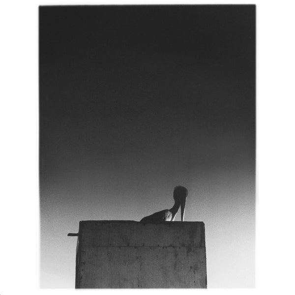 Ø & Mika Vainio - Sysivalo