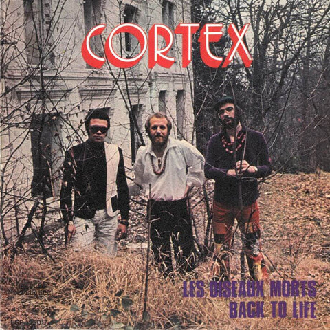 Cortex - Les Oiseaux Morts - Artists Cortex Style Jazz-Funk Release Date 1 Jan 2020 Cat No. TV017 Format 7" Vinyl - Trad Vibe - Trad Vibe - Trad Vibe - Trad Vibe - Vinyl Record