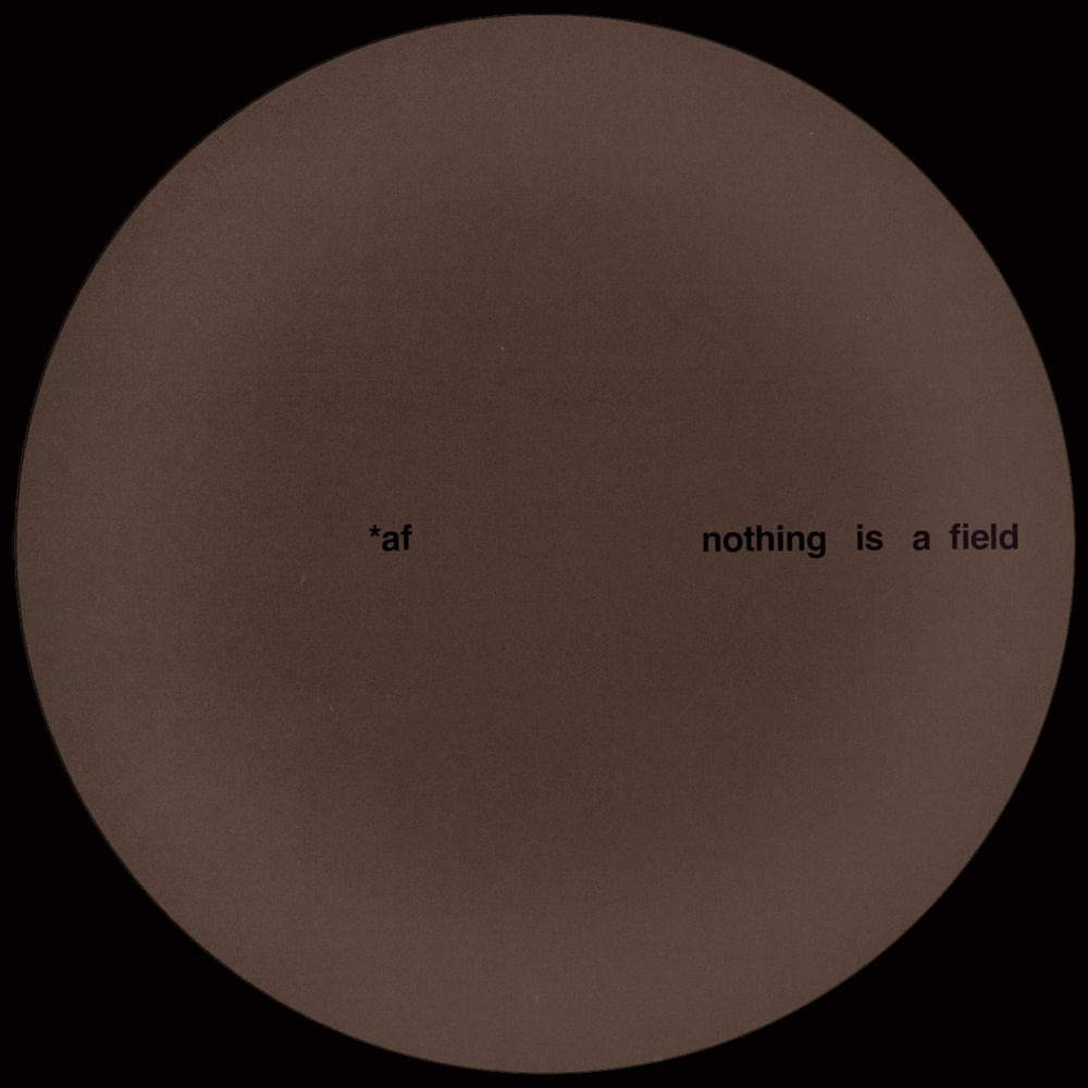 Adam Feingold - Nothing Is A Field (Ltd. 200 Copies) Vinyl