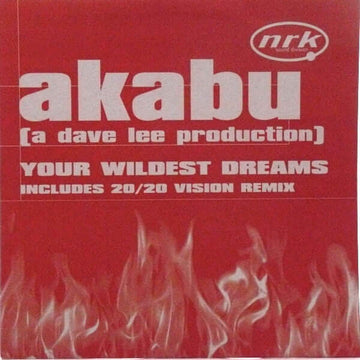 Akabu - Your Wildest Dreams Vinyl Vinly Record