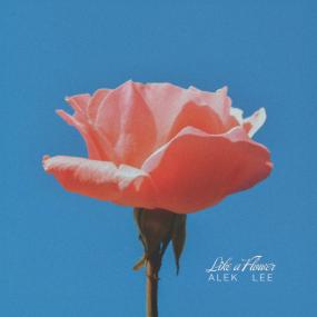 Alek Lee - Like A Flower Vinyl