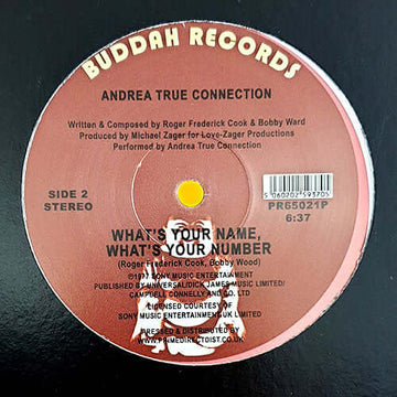 Andrea True Connection - More, More, More Vinyl Vinly Record