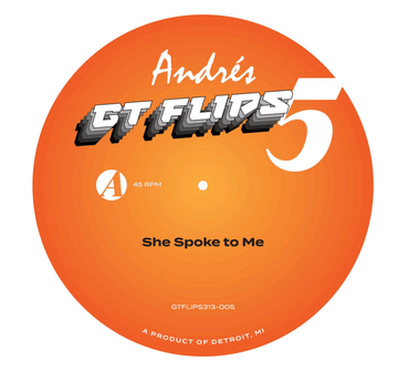 Andres - GT Flips 313 - 005 Vinyl Vinly Record