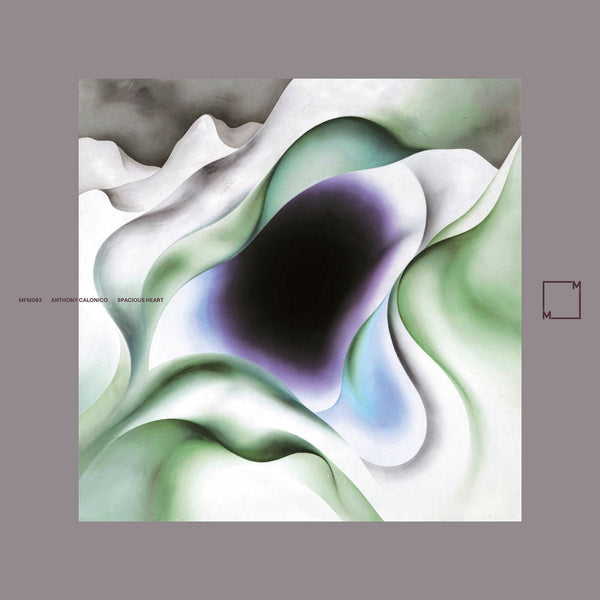 Anthony Calonico - Spacious Heart Vinyl