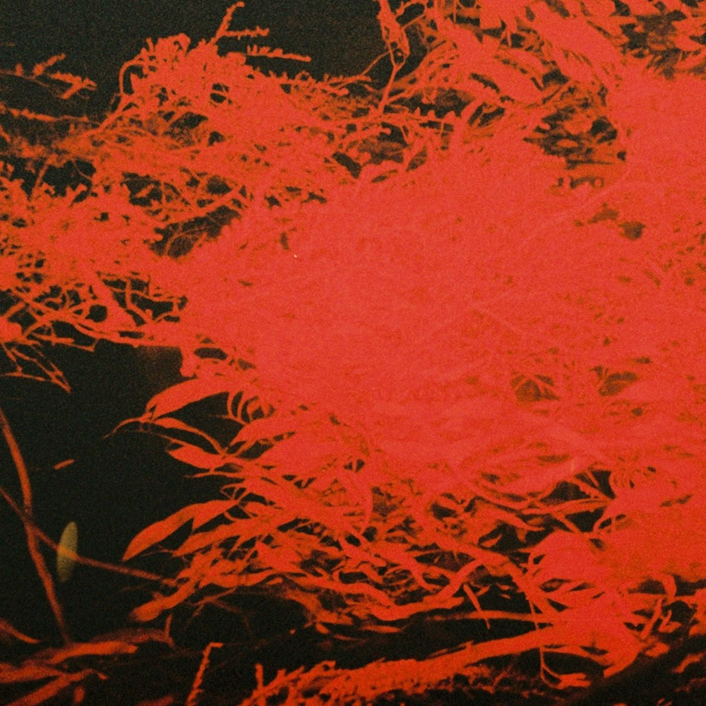 Anthony Naples - In Studio Magic Vinyl