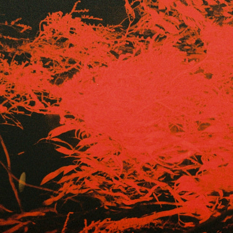 Anthony Naples - In Studio Magic Vinyl - Vinyl Record