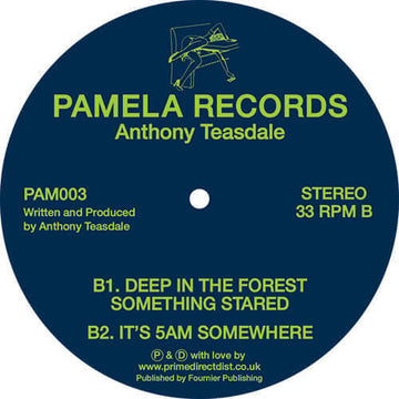 Anthony Teasdale - 003 Vinyl Vinly Record
