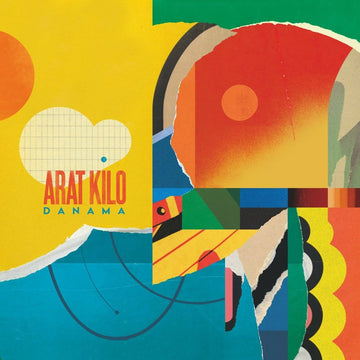 Arat Kilo - Danama Vinyl Vinly Record