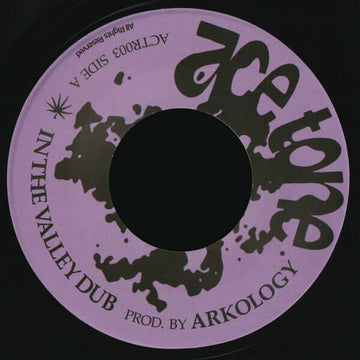 Arkology - In The Valley Dub Vinyl Vinly Record