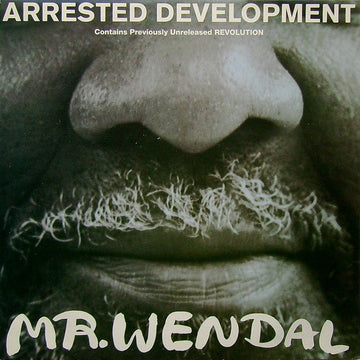 Arrested Development - Mr. Wendal Vinyl Vinly Record