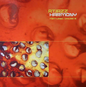 Atjazz Featuring Dawne B - Harmony Vinyl Vinly Record