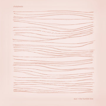 aus & The Humble Bee - Chalybeate Vinyl Vinly Record