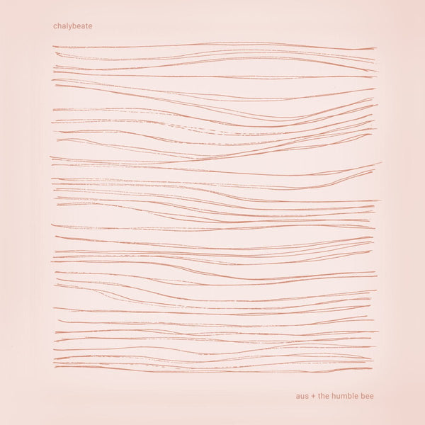 aus & The Humble Bee - Chalybeate Vinyl
