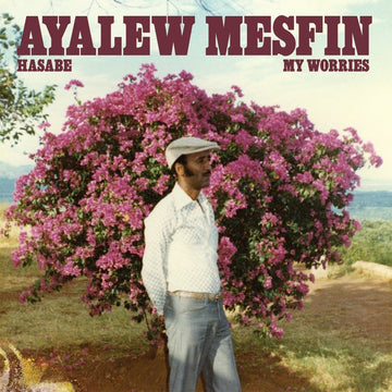 Ayalew Mesfin - Hasabe - My Worries Vinyl Vinly Record