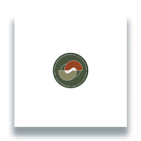 -  2 - Vinyl Record