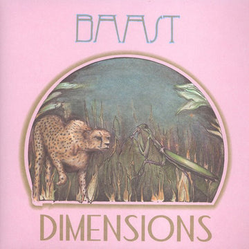 Baast - Dimensions Vinyl Vinly Record