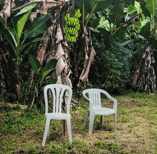 Bad Bunny - Debi Tirar Mas Fotos Vinyl
